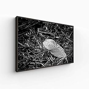 Canvas Wall Art for Living Room, Bedroom Black and White Article Framed Canvas Prints for Home Decoration Ready to Hang - 16x24 inches