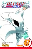Bleach, Vol. 47