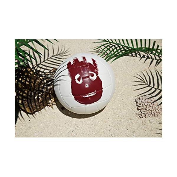 WILSON Outdoor Recreational Volleyball Official Size » La Decade