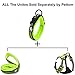 Pettom Adjustable Nylon Pet Collar Padded 1