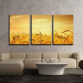 Ripe Wheat at Sunset Landscape x3 Panels