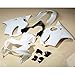 XMT-MOTO ABS Fairing Bodywork Set Fit for Honda CBR600 F4 CBR 600 1999-2000 Unpainted White