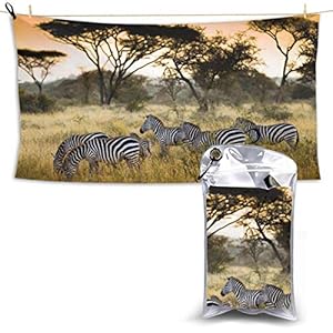 XCNGG Quick Dry Bath Towel, Absorbent Soft Beach Towels, Africa Grassland Zebra for Camping, Backpacking, Gym, Travelling, Swimming,Yoga 28.7” X 51”