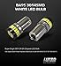 LUYED 600 Lumens Super Bright 3014 24-EX Chipsets BA9 BA9S 53 57 1895 64111 LED Bulbs Used For Side Door Courtesy Lights Map Lights,Xenon White