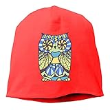 Woman Skull Cap Beanie Owl Art Picture Headwear