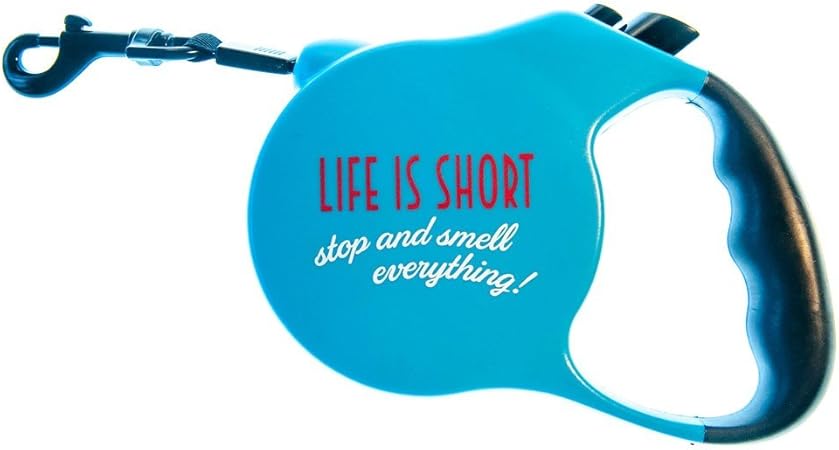 24 ft retractable dog leash