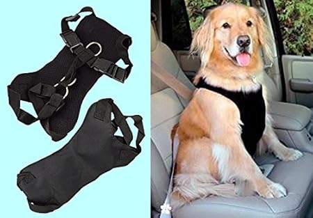 amazon dog seat belt harness