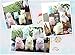 Alpacasso 6.7