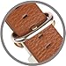 JSGJMY Apple Watch Band 38mm Leather Strap Replacement Watchbands for iWatch Series 3/Series 2/Series 1/Edition/Sport(Light Brown+Golden Clasp)