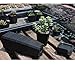 BangQiao 2.70 Inch Plastic Square Seedling Pots, Plastic Plant Pots with Saucer,Pack of 12 (Black)