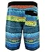 Microtek Boardshort