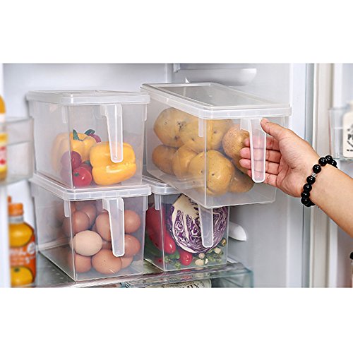 MineDecor Plastic Storage Containers Square Handle Food Storage Organizer Boxes with Lids for Refrigerator Fridge Cabinet Desk (Set of 4 Pack, Large Organizer Bins)