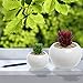 3.5 Inch Small Round Modern White Ceramic Succulent Planter Pot - MyGift
