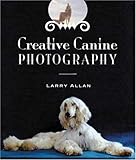 Creative Canine Photography