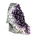 Crystal Allies: Natural Amethyst Quartz Crystal Cluster from Uruguay - 1lb to 2lbs