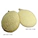 Kiloline Exfoliating Loofah Pads-2 Pack 100% Natural Luffa and Terry Cloth Materials Loofa Sponge Scrubber Brush Close Skin for Men and Women When Bath Spa and Shower