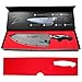 Zelite Damascus 8 Inch Chef Knife - Hammered Tsuchime Finish Japanese Chef's Knife for Kitchen with Curved Handle; Professional Kitchen Knife with Japanese AUS-10 Super Steel 45-Layer - Leather Sheath