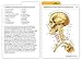 Anatomy Flashcards
