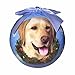 E&S Pets Yellow Lab Christmas Ornament Shatter Proof Ball Easy to Personalize for Yellow Lab Lovers
