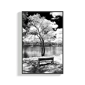 Canvas Wall Art for Living Room, Bedroom Tree Framed Canvas Prints for Home Decoration Ready to Hang - 16x24 inches