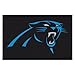FANMATS - 5699 NFL Carolina Panthers Nylon Face Starter Rug , 19