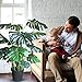 Haus and Sage Artificial Tree for Home and Office Decor - Monstera Deliciosa Floor Palm, 47