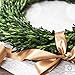 Olive Branch Home Preserved Boxwood Wreath With Gift Box, Large Indoor Year Round Green Wreath (20 Inch Round)