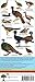 Belize Bird Guide (Laminated Foldout Pocket Field Guide) (English and Spanish Edition)