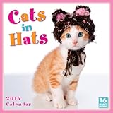 Cats in Hats 2015 Wall Calendar