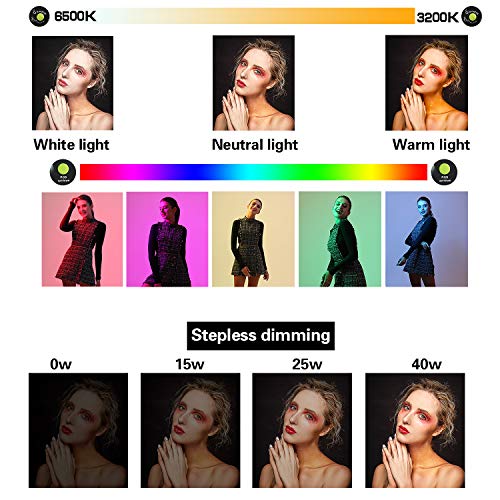 Makeup Ring Light Kit 14 Inch Ring Lamp with Mirror Double-Sided Swivel Makeup Mirror Dimmable Video LED Light Set Phone Adapter for Video Shooting Portrait Vlog Selfie with Adjustable Tripod Stand
