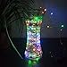 AICase Dimmable LED String Lights with Remote Control, 33 Ft 100 LEDs Waterproof String Lights Party Wedding Christmas Lights for Indoor/Outdoor Home Garden Decorations (1, Multi)