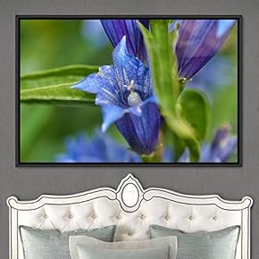 signwin Framed Canvas Wall Art Blooming Closeup Botanical...