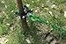 Brush Grubber Single Person Brush Grubber Mini with 12 Gripping Teeth and Spring Loaded Jaws Brush Up To 2 Inch Diameter, Black/Green