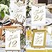 Aytai Gold Wedding Table Numbers 1-25 & Head Table Card, 4x6 Double Sided Gold Foil Calligraphy Design Table Numbers for Wedding Reception Wedding Table Decorations