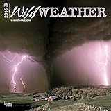 Wild Weather 2016 Wall Calendar