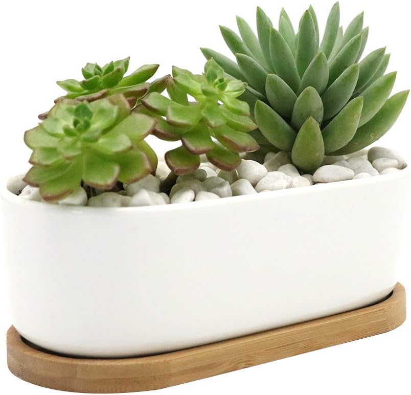 SQOWL 6 inch White Small Rectangular Ceramic Succulent Planter Pot Modern Flower Cactus herb Planter with Bamboo Tray Indoor or Outdoor