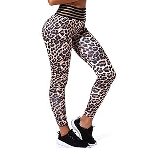 51%2BINhOaEiL. SS300