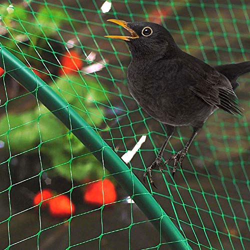 CODIRATO Vogelschutznetz 4x10m Teichnetz Laubnetz Gartennetz Grün Laubschutznetz Pflanzenschutznetz für Teich, Balkon, Garten, Bauernhof, 15mm x 15mm Löcher – Bild 7