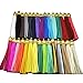 PAMIR TONG 30pcs Faux Leather Tassel For Keychain with Gold Caps Faux Suede Tassel Charm for Lanyard Straps DIY Tassel Charms for Rubber Beads Keychain-Jewelry Making-Handbags-Purse Decorations