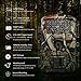 WOSPORTS Trail Camera Hunting Game Camera, 2019 Upgraded Motion Activated Night Vision up to 65ft,1080P Full HD Waterproof Wildlife Scouting Monitoring Home Security Camera, 88D (Trail Camera-Camo)