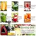 Aobosi Slow Masticating juicer Extractor, Cold Press Juicer Machine, Quiet Motor, Reverse Function, High Nutrient Fruit and Vegetable Juice with Juice Jug & Brush for Cleaning (Bright Red)