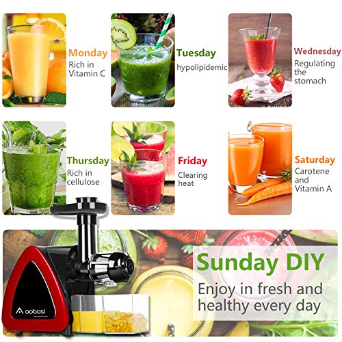 3 Masticating+Extractor+Portable+Function+Vegetable