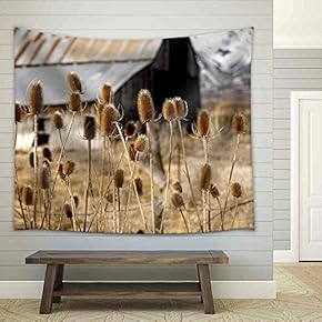 Nice Image of The Thistles on The Plains in Yellowstone Park - Fabric Wall Tapestry Home Decor - 51x60 inches