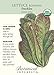 Lettuce Romaine Freckles Organic Seed