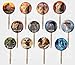 Party Over Here Lion King 2019 Movie Picks Double-Sided Images Cake Topper -12, Simba Nala Mufasa Timon Pumbaa Rafiki Scar Zazu Sarabi