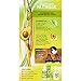 Garnier Nutrisse Ultra Color Nourishing Permanent Hair Color Cream, HL1 Rich Toffee (1 Kit) Brown Hair Dye (Packaging May Vary), 1 Count