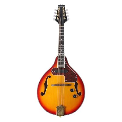 ammoon 8-String Electric A Style Mandolin Rosewood Oman | Ubuy
