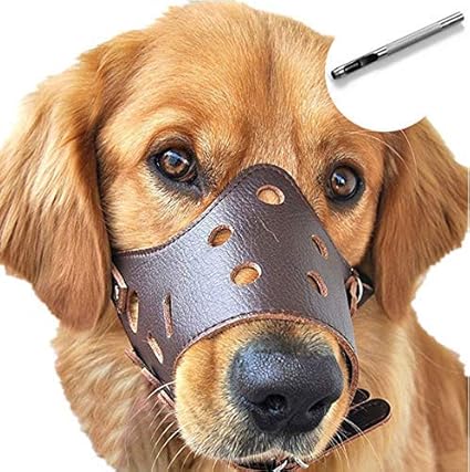 dog anti chew muzzle