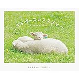 マイペースのススメェー