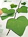 VIPbuy (2 Packs , 120 Sheets) Novelty Leaf Shaped Sticky Note Paper Memo Pads Portable Scratch Pads Scratch Paper Notepads Bookmark, Green Leaf